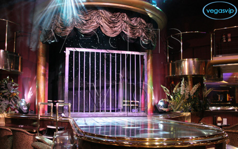 paradise strip club vegas
